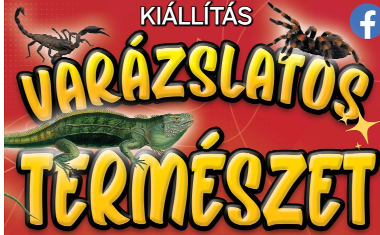 Varázslatos természet